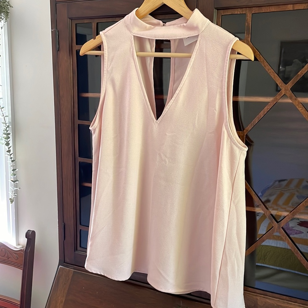 Pale Pink Sleeveless Cut-out Blouse from Lizard Thicket